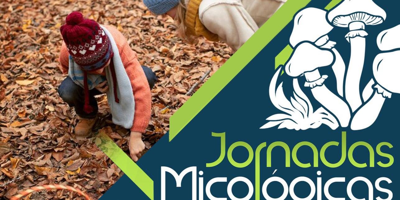 Jornadas Micológicas Otoño 2024