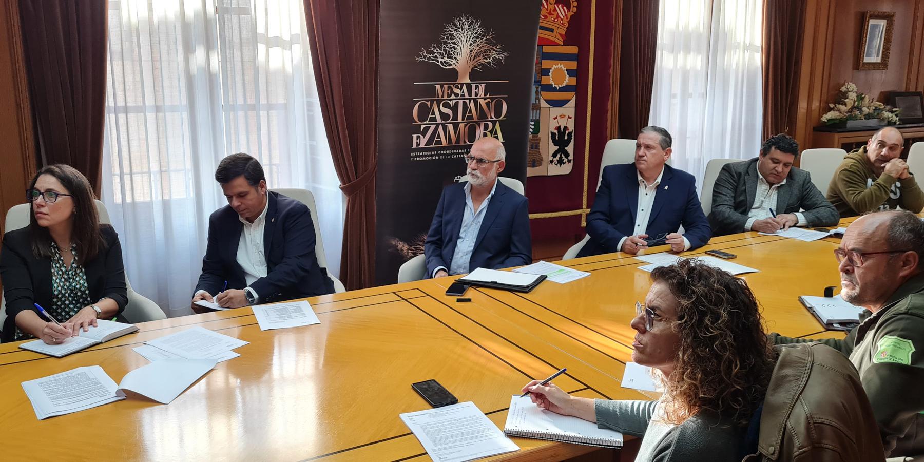 Momento de la reunión de la Mesa del Castaño de la provincia de Zamora